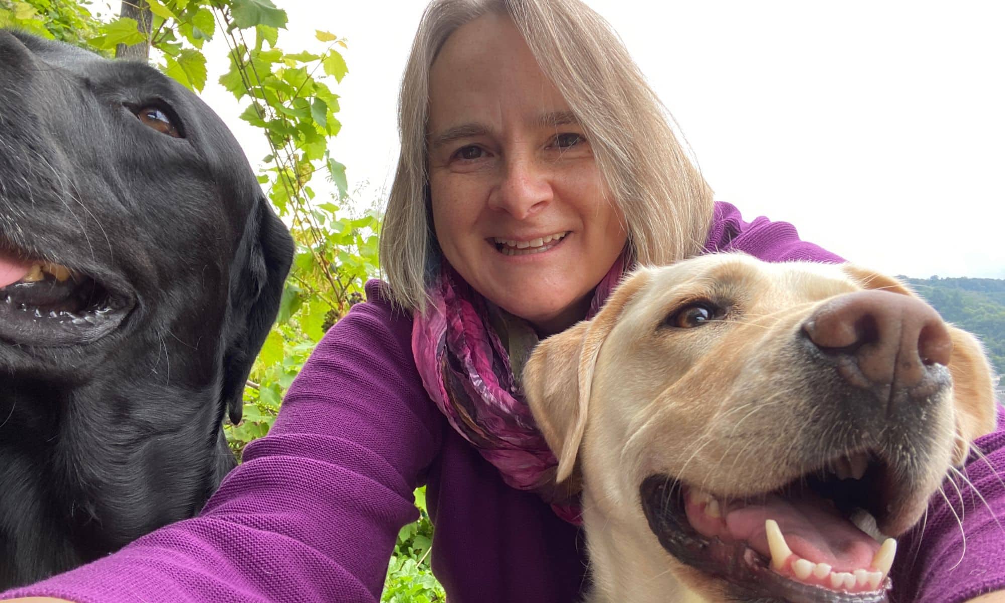 Sandra hat ein Selfie mit ihren beiden Labradoren auf einer Wiese gemacht.